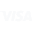 logo visa